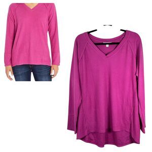Wildfox Haley Brushed Pullover Long Sleeve Pink Cozy Soft Size Large